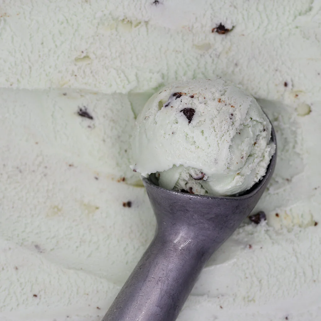 Mint Choc Chip